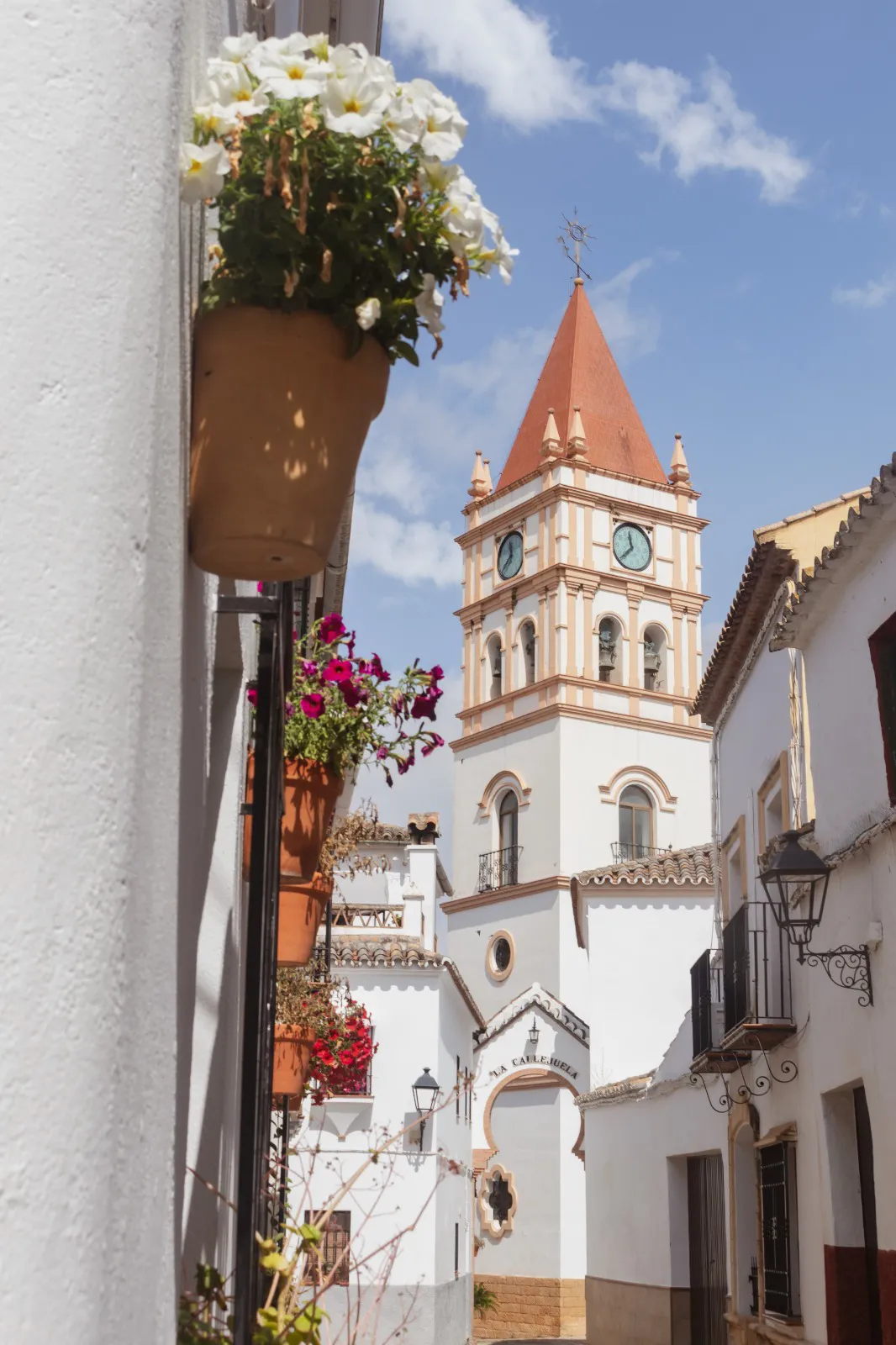 Vista aérea de Arriate