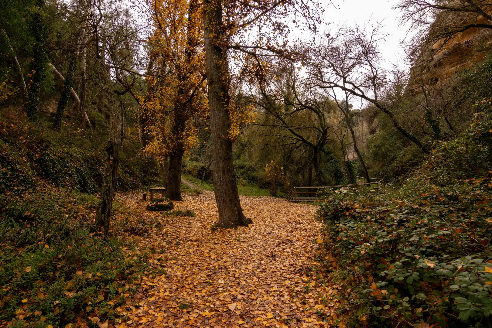 Cartel HISTORIA DE ARRIATE