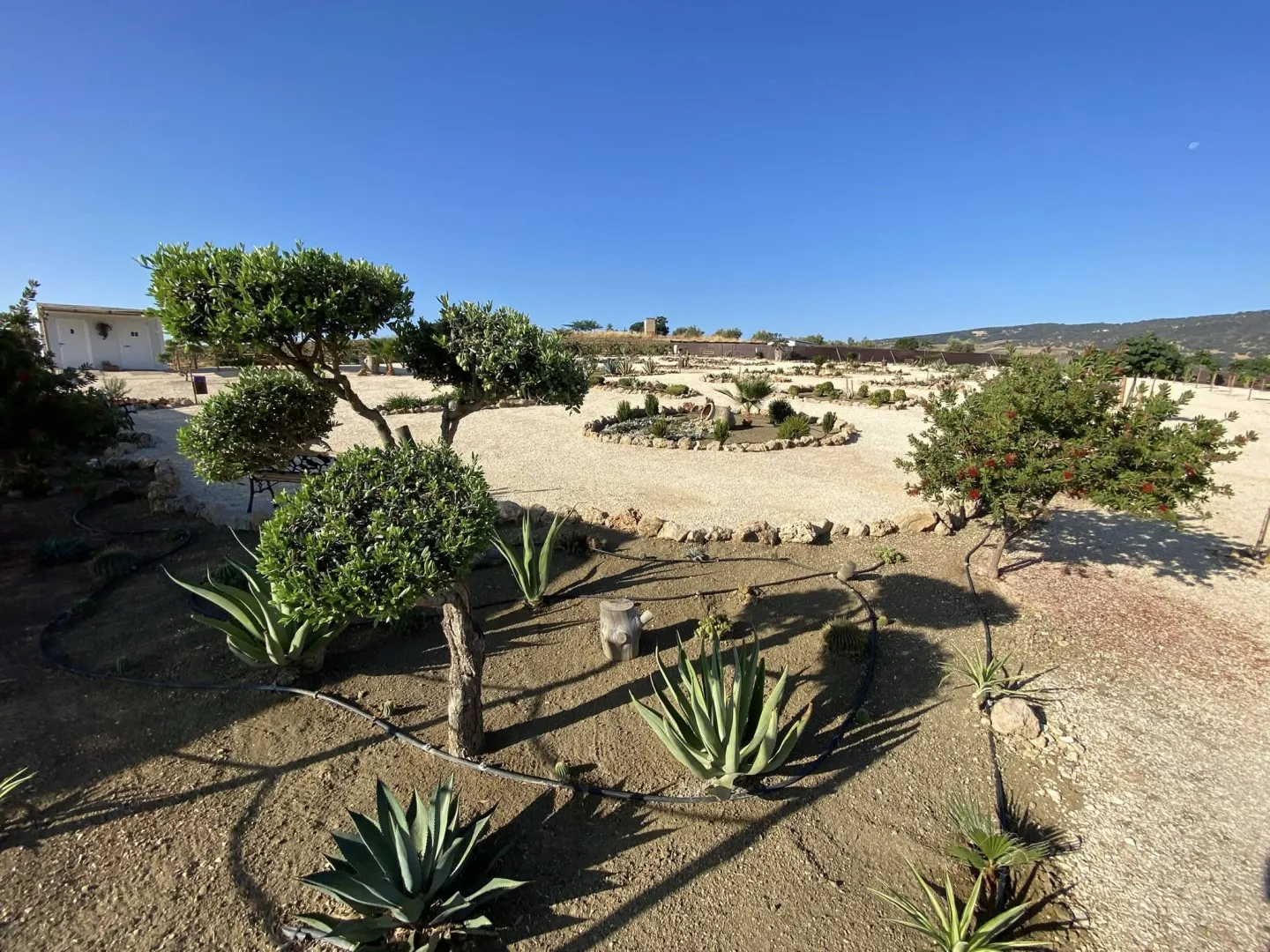 Cartel EL LABERINTO DE ARRIATE