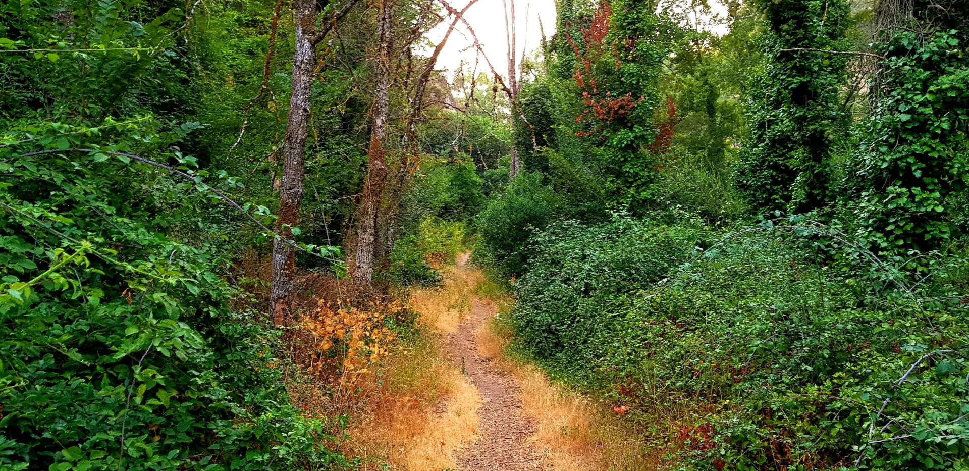 Portada SENDERO "ARROYO DE LA VENTILLA"