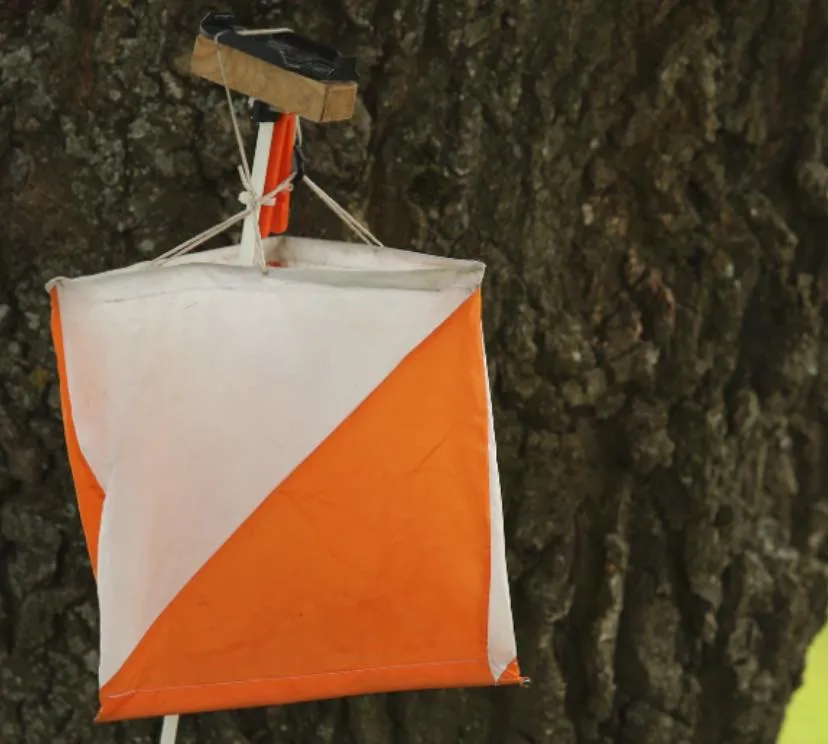 Portada PRUEBA DE ORIENTACIÓN